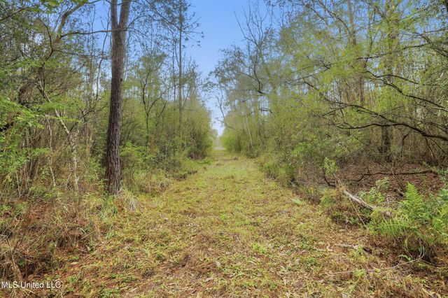 Saracennia Road, Moss Point, MS 39562