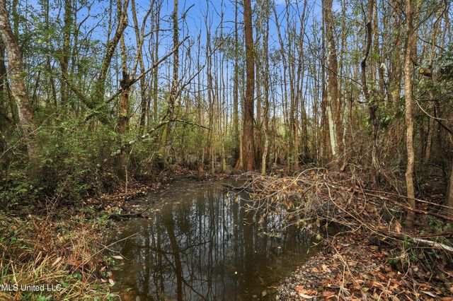 Saracennia Road, Moss Point, MS 39562
