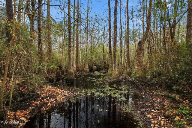 Saracennia Road, Moss Point, MS 39562