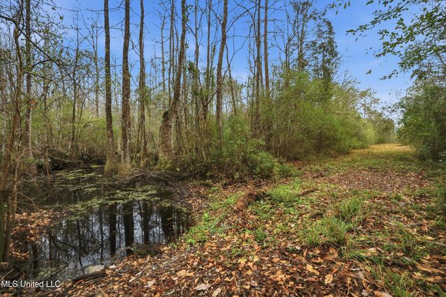 Saracennia Road, Moss Point, MS 39562