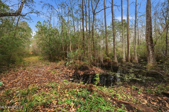 Saracennia Road, Moss Point, MS 39562