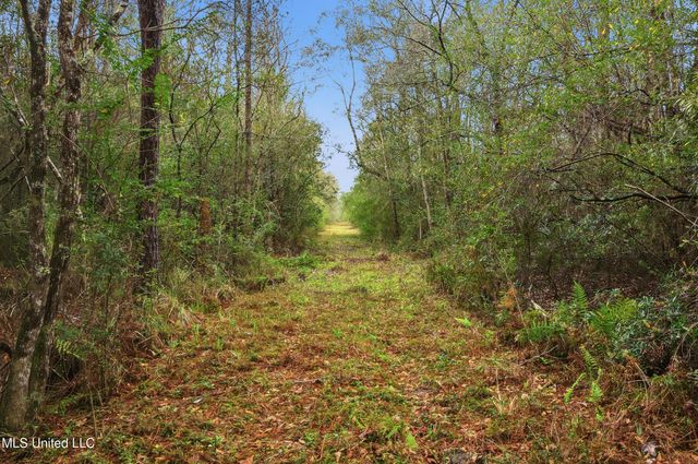 Saracennia Road, Moss Point, MS 39562