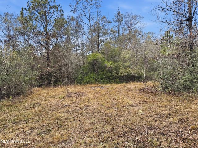 Saracennia Road, Moss Point, MS 39562