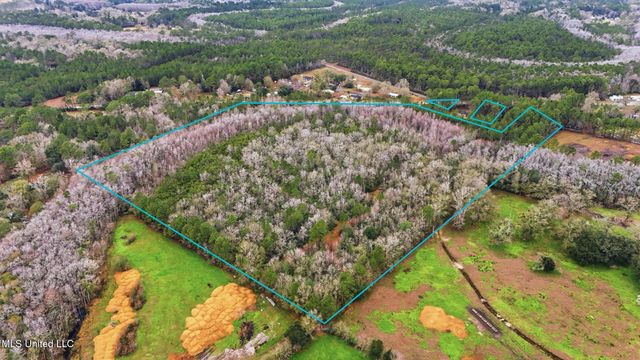 Saracennia Road, Moss Point, MS 39562