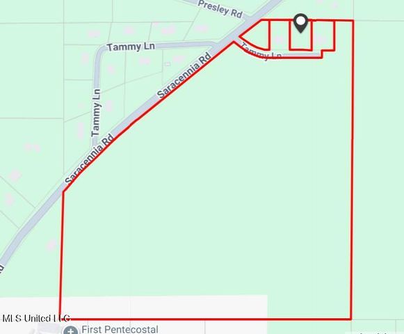 Saracennia Road, Moss Point, MS 39562