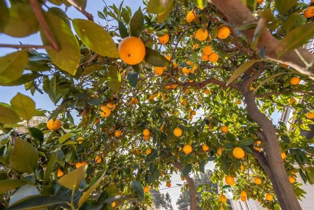 3653 37th Street, San Diego, CA 92105