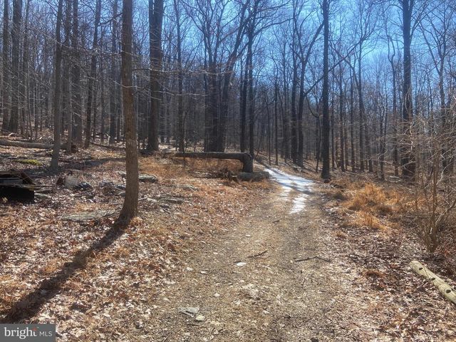 8939 HAWBOTTOM RD, Middletown, MD 21769