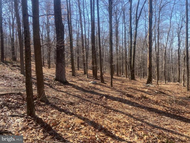 8939 HAWBOTTOM RD, Middletown, MD 21769