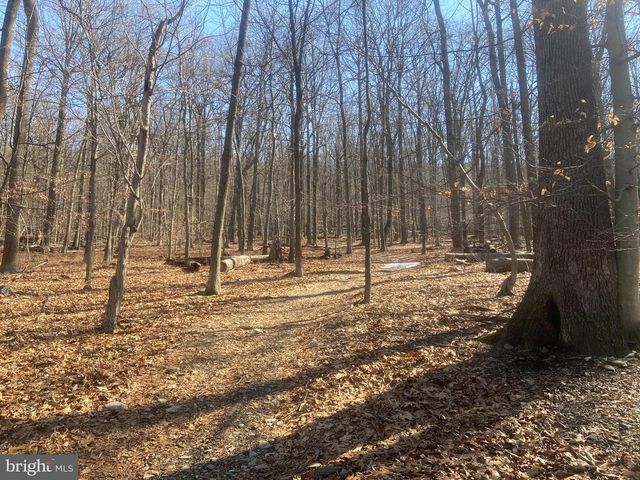 8939 HAWBOTTOM RD, Middletown, MD 21769