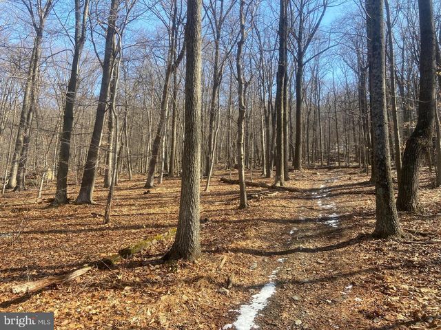 8939 HAWBOTTOM RD, Middletown, MD 21769