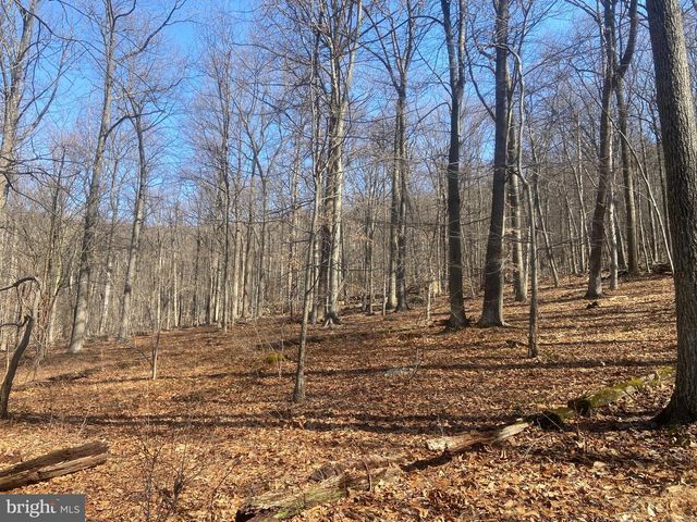 8939 HAWBOTTOM RD, Middletown, MD 21769