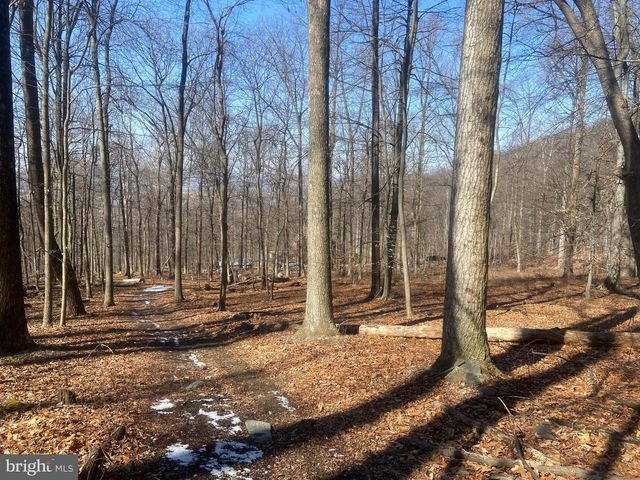 8939 HAWBOTTOM RD, Middletown, MD 21769