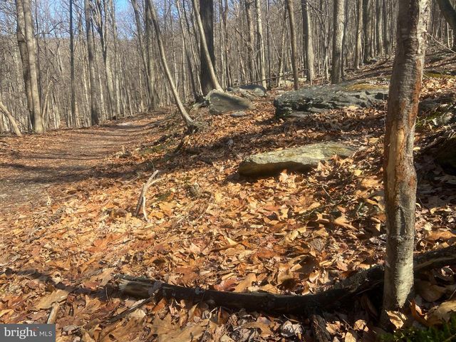 8939 HAWBOTTOM RD, Middletown, MD 21769