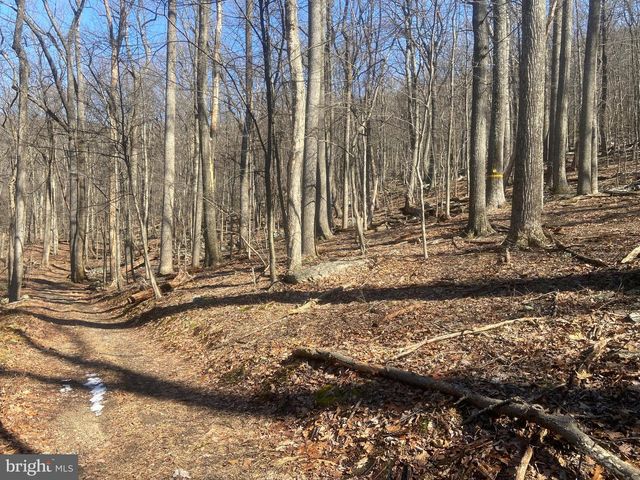 8939 HAWBOTTOM RD, Middletown, MD 21769