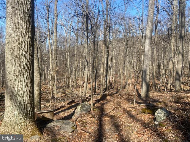 8939 HAWBOTTOM RD, Middletown, MD 21769