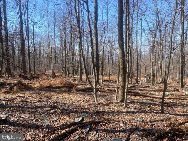 8939 HAWBOTTOM RD, Middletown, MD 21769