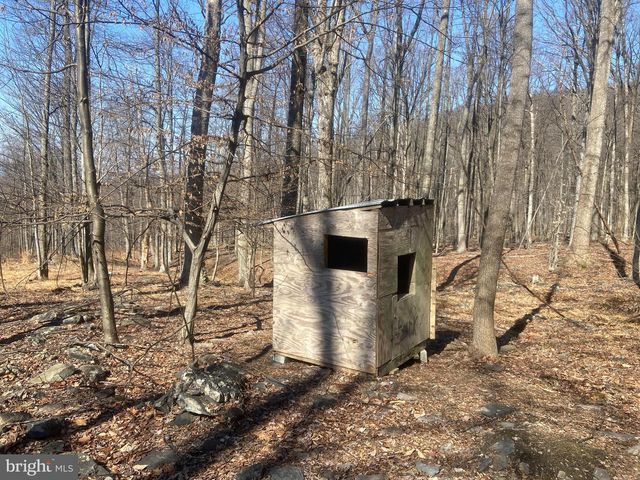 8939 HAWBOTTOM RD, Middletown, MD 21769