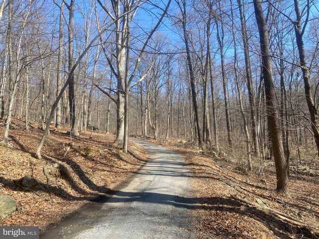 8939 HAWBOTTOM RD, Middletown, MD 21769