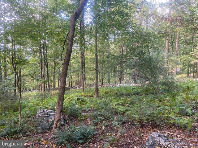 8939 HAWBOTTOM RD, Middletown, MD 21769