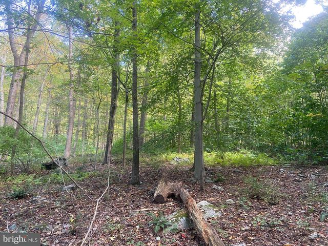 8939 HAWBOTTOM RD, Middletown, MD 21769