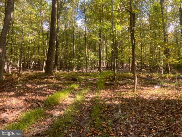 8939 HAWBOTTOM RD, Middletown, MD 21769