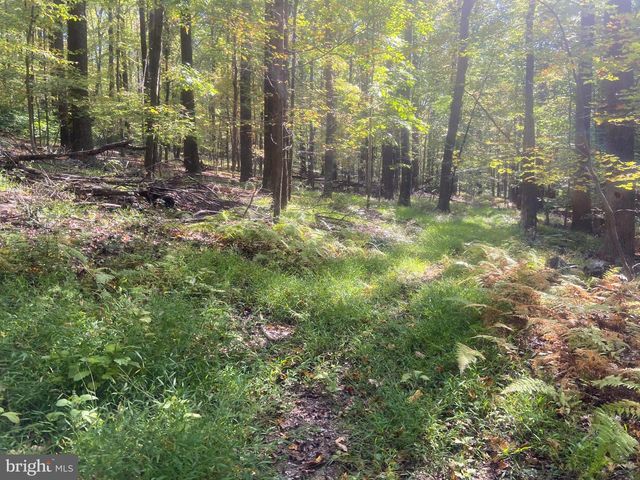 8939 HAWBOTTOM RD, Middletown, MD 21769