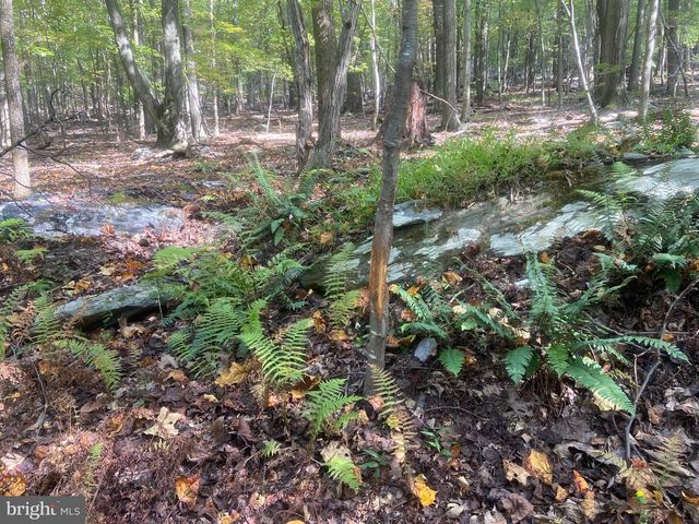 8939 HAWBOTTOM RD, Middletown, MD 21769