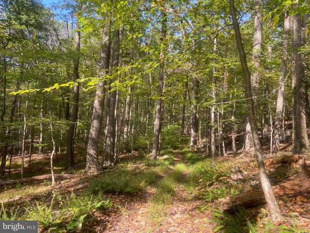 8939 HAWBOTTOM RD, Middletown, MD 21769