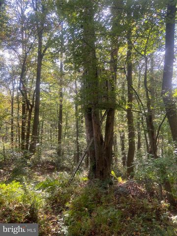 8939 HAWBOTTOM RD, Middletown, MD 21769