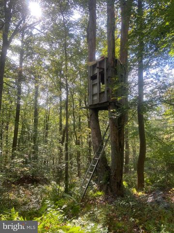 8939 HAWBOTTOM RD, Middletown, MD 21769