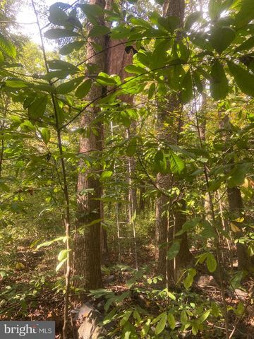 8939 HAWBOTTOM RD, Middletown, MD 21769