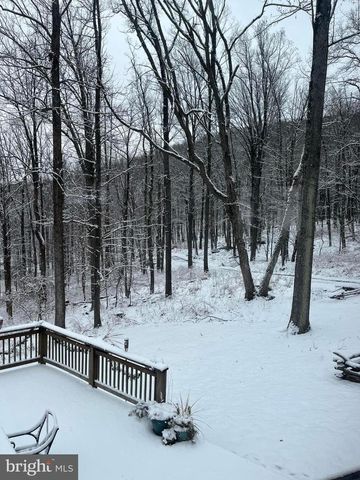 8939 HAWBOTTOM RD, Middletown, MD 21769