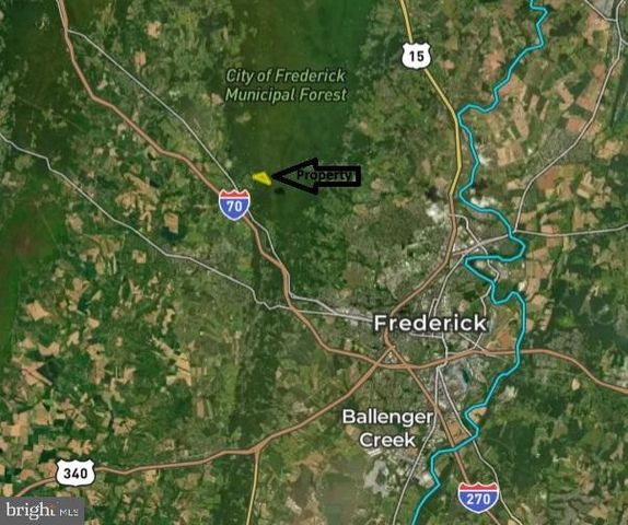 8939 HAWBOTTOM RD, Middletown, MD 21769