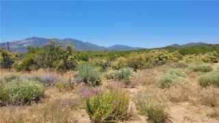 0 Glenda, Anza, CA 92539