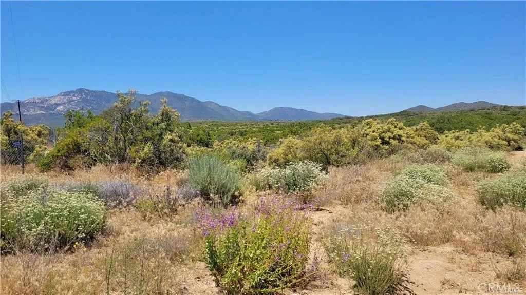 0 Glenda, Anza, CA 92539
