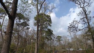 99 Cherry Laurel Street, Huffman, TX 77336