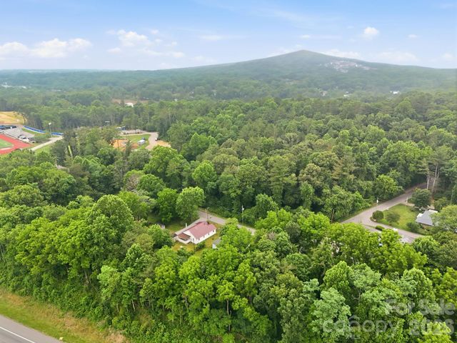 226 Vance Avenue, Black Mountain, NC 28711