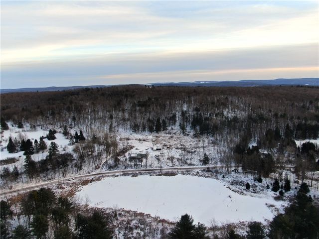 290 Hohreiter Road, Guilford, NY 13733