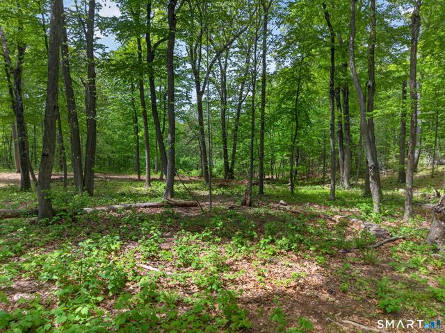 71 & 53 Hermitage Lane, North Haven, CT 06473