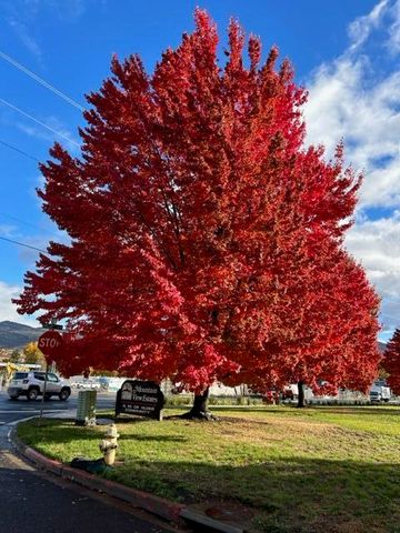 333 Mountain View Drive 121, Talent, OR 97540