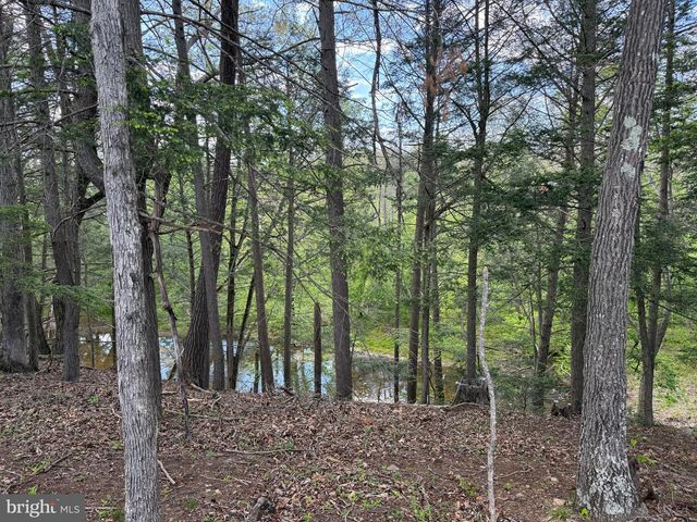 254 OLD MILL MANOR DR, Berkeley Springs, WV 25411