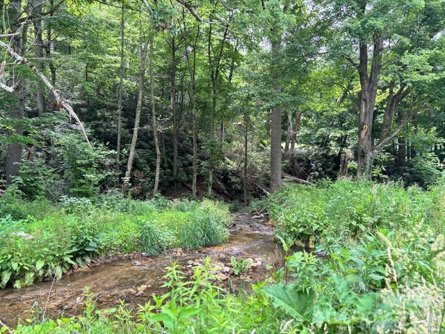 1771 Hughes Gap Road, Bakersville, NC 28705