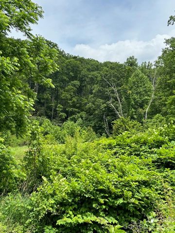 1771 Hughes Gap Road, Bakersville, NC 28705