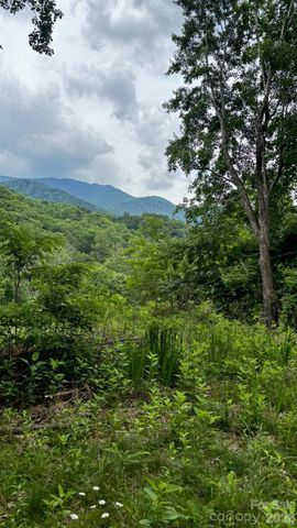1771 Hughes Gap Road, Bakersville, NC 28705