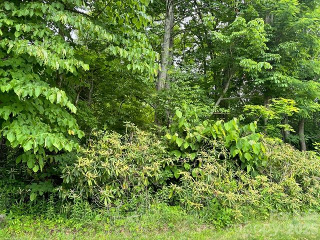 1771 Hughes Gap Road, Bakersville, NC 28705