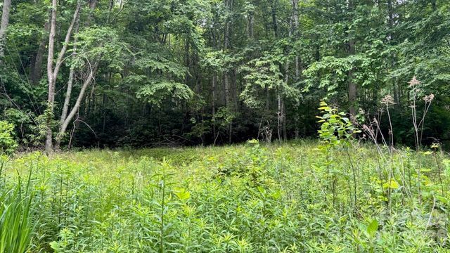 1771 Hughes Gap Road, Bakersville, NC 28705