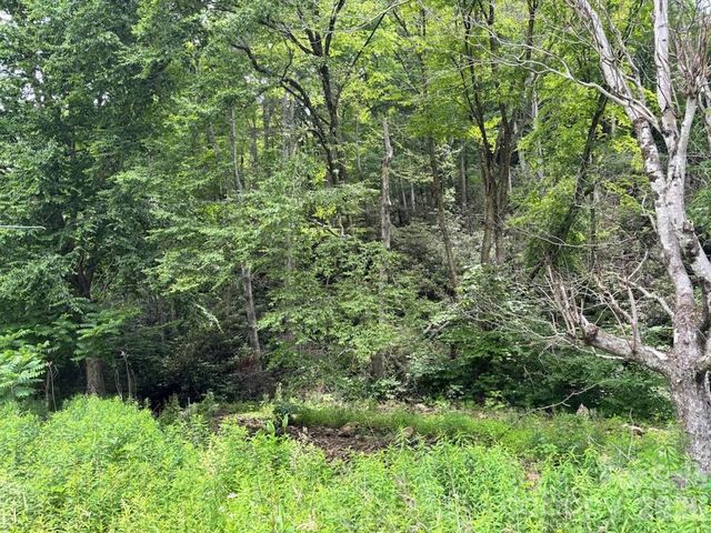 1771 Hughes Gap Road, Bakersville, NC 28705