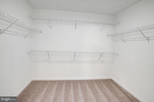 2009 DIVOT DR, Culpeper, VA 22701