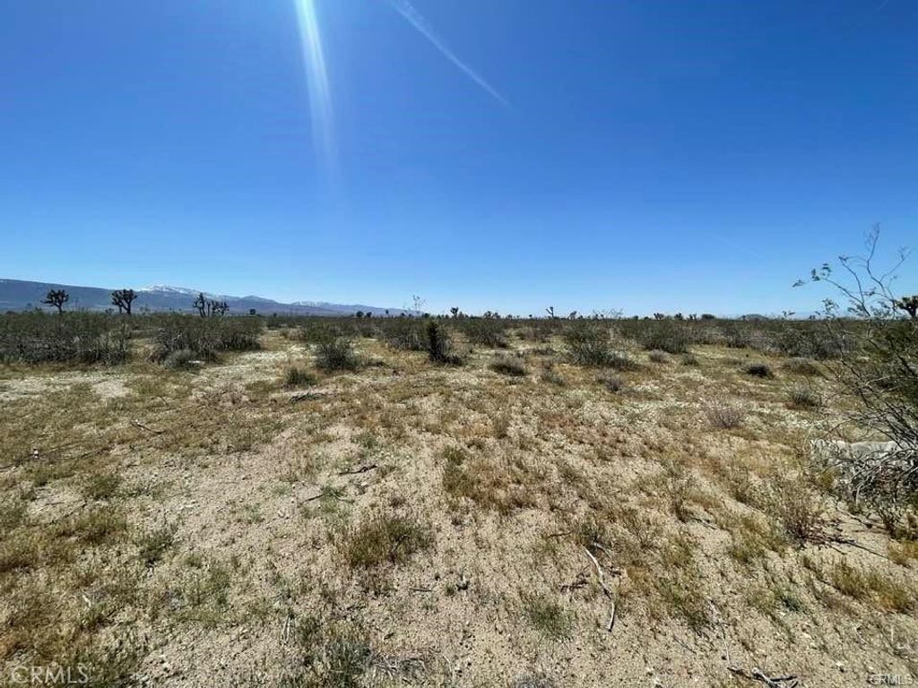 0 Dos Palmas AVE, Pinon Hills, CA 92372