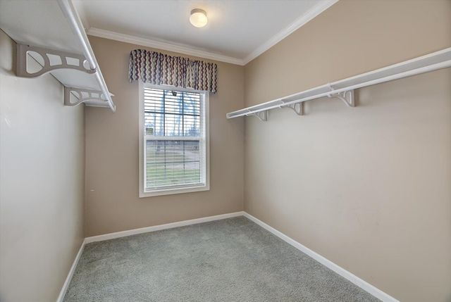 3 County Road 6475, Dayton, TX 77535